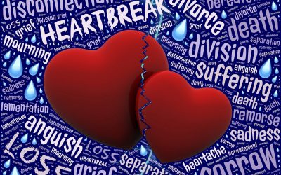 The Effects of Parental Divorce on Adult Relationships