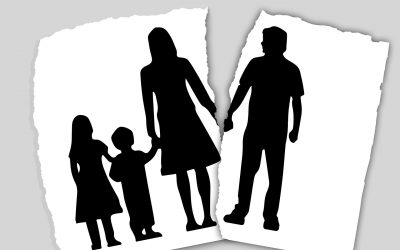 Children Experience a Plethora of Reactions to News of Divorce